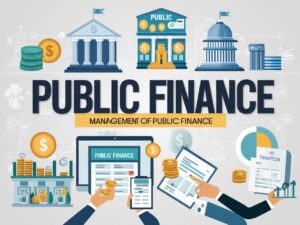 Public Finance